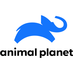 Animal Planet