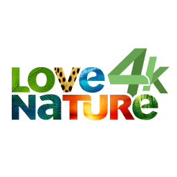 Love Nature 4K