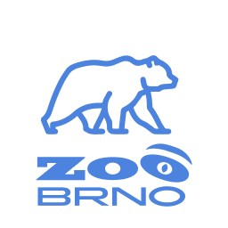 Zoo Brno - Medvěd kamčatský