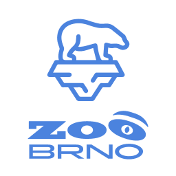 Zoo Brno - Medvěd lední
